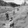 C Company 10th RB Arno Valley 17th July 44.jpg