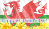 Happy-St-Davids-Day.png