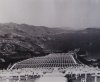 Sai Wan War Cemetery 1945.JPG copy.jpeg