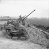 B_005676 - L - 40mm Bofors SP AA gun A2 21AG (prob 393-120 LAA Bty), Le Hamel, 17 Jun 44 [Laing].jpg