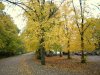 Trent Park goes autumnal 31-10-2010.jpg