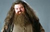 hagrid_teaser.jpg