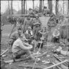 William Mitchinson Sherman Flail Tank.jpg