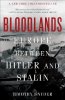 1304459000Snyder-Bloodlands.jpg