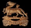 475-royal-berkshire-regiment.jpg