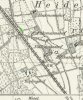 Chesnuttree 2907.jpg