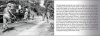 upload_2023-11-1_23-53-5.png