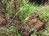 3C537072-61F6-488F-B9E6-C2FD78D26D23.jpeg