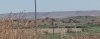 puntooliveairfield.jpg