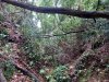 20250521_103749.jpg