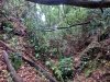 20250521_103747.jpg