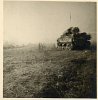 Sherman 2 Anzio.jpg