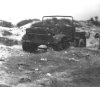 bedford mw sand dune.jpg