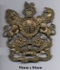 Small Coat of Arms cap badge 50x45.JPG