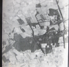 Moyland Wood aerial.png
