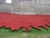 Tower of London Remembrance (4).JPG