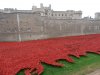 Tower of London Remembrance (7).JPG