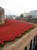 Tower of London Remembrance (17).JPG