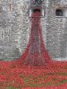 Tower of London Remembrance (20).JPG