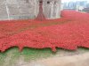 Tower of London Remembrance (24).JPG