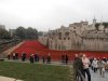 Tower of London Remembrance (31).JPG