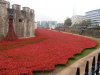 Tower of London Remembrance (18).JPG