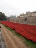 Tower of London Remembrance (19).JPG