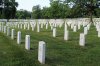 Arlington_87.jpg