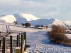 1. Skiddaw massif from Wharrells Hill.JPG