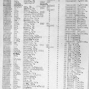 Imported Photos 00049