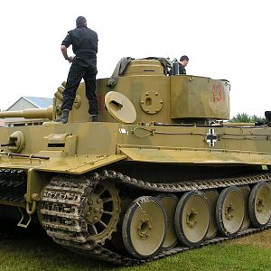 Tiger 131 front quarter