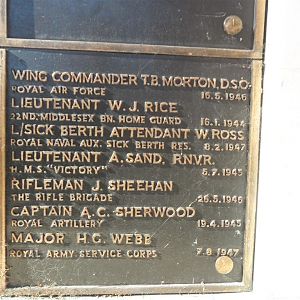 W.J.Rice Home Guard (Large) (2).jpg