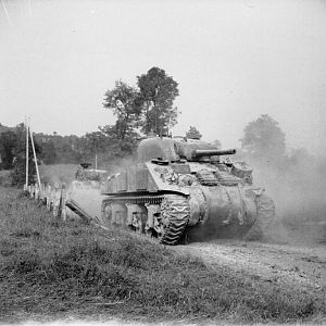 Sherman tanks of 2nd Irish Guards, Guards Armoured Division, south of Caumont, 31 July 1944; IWM B 8280