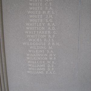 RM panel 54 bottom.JPG