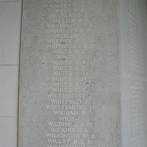 RM panel 96 middle.JPG