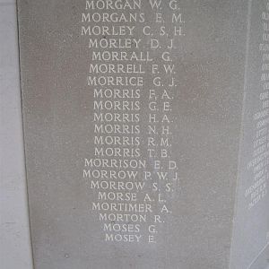 RM panel 159 bottom.JPG