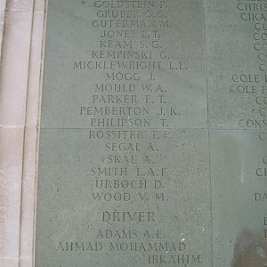 Brookwood  panel  16a (Large).JPG