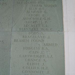 Brookwood panel 20g (Large).JPG