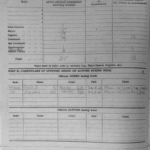May War Diary, 6th Motor Battalion Grenadier Guards, 1943