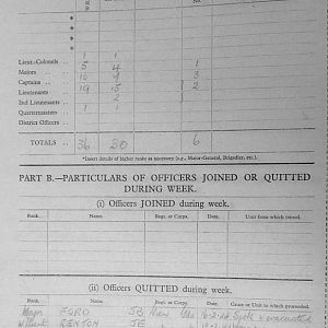 February War Diary, 6th Battalion, Grenadier Guards, Jan - Mar 1944