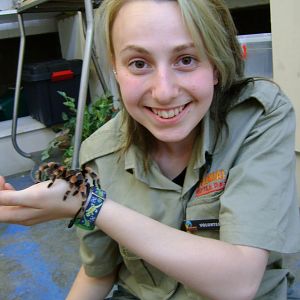 Tarantula, with Grand-daughter No.2 at Snake Centre in S.Africa