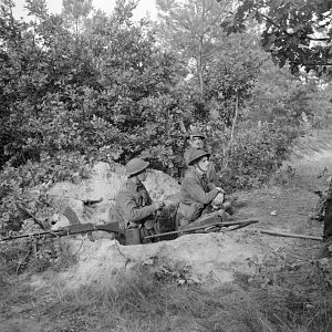 Irish Guards Group, Guards Armoured Division, Aalst, 18 Sept 1944