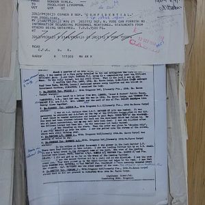 resized_P4380879.jpg