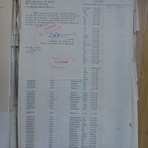 resized_P4380937.jpg