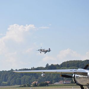 Yak and B-25