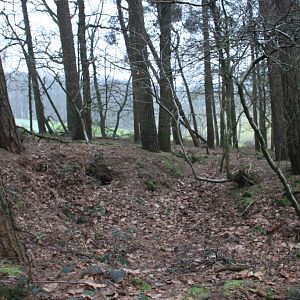 trenches on the Duivelsberg. (Vicinity of Nijmegen)