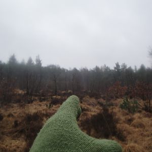 Small Ramacal Shooting direction