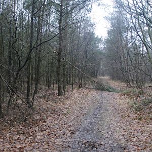 Small Ramacal Your location