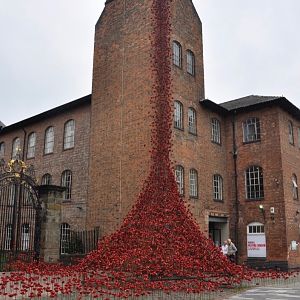 Weeping Window Derby