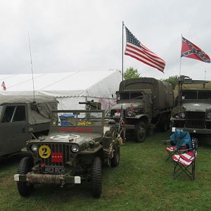 LaW31